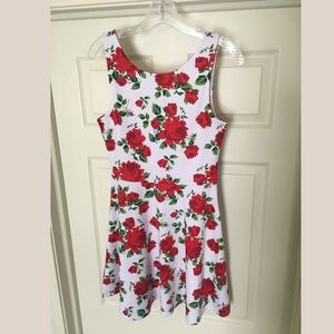 H&M Rose Print Skater Dress